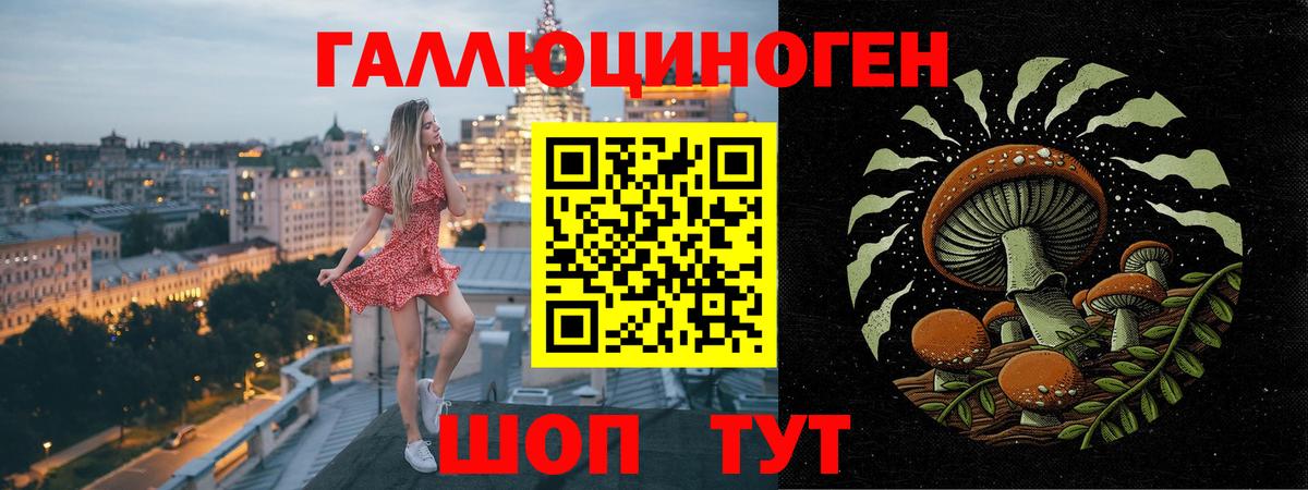 Галлюциногенные грибы прущие грибы  Вход с VPN  Тверь 